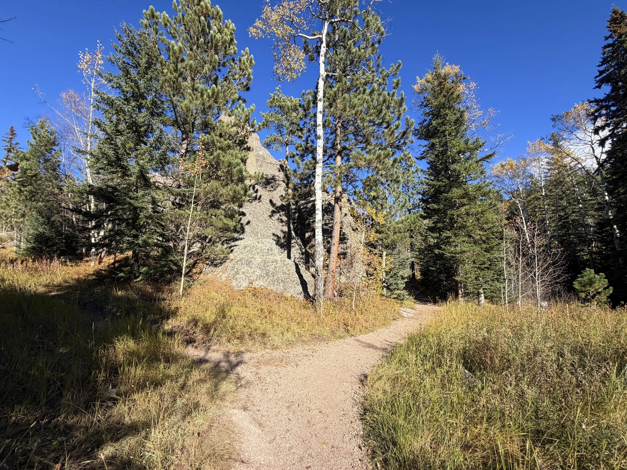 Hiking the Little Devils Tower Trail in Custer State Park in the